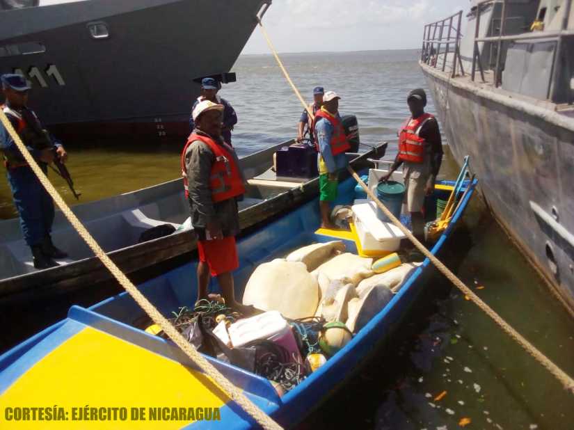 ejercito-libero-tortugas
